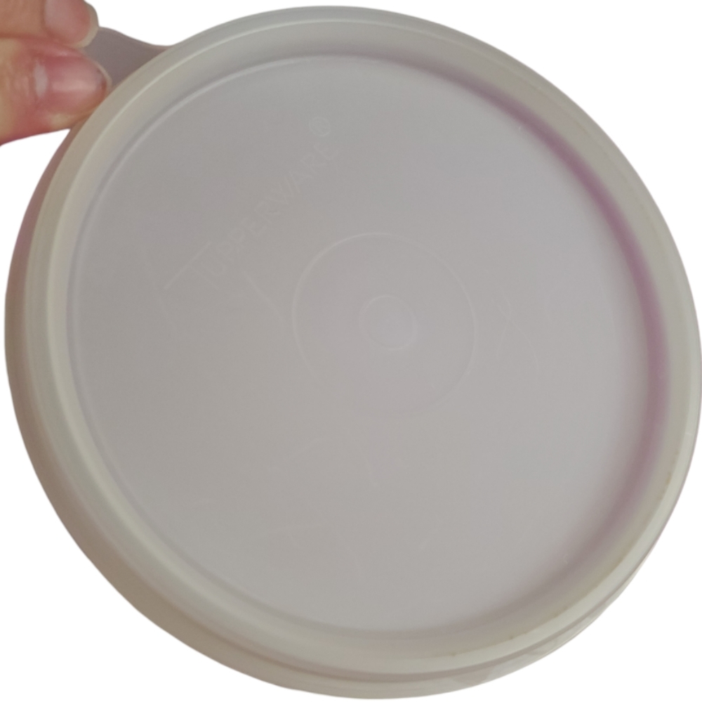Tupperware Divider Tray with Dip Container - Picture 11 of 13